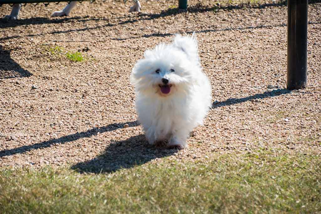 Kitty Hollow Park
