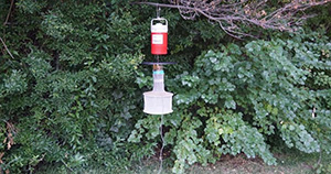 Mosquito Surveillance