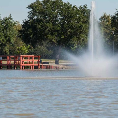 Kitty Hollow Park 12.jpg