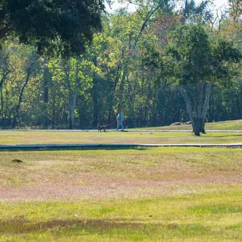 Kitty Hollow Park_0.jpg