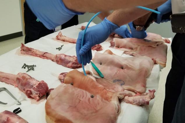 Surgical Airway Training
